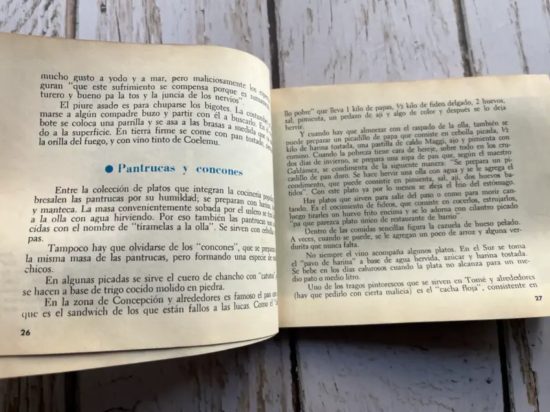 Libro 'Comidas y Bebidas de Chile' Alfonso Alcalde - 6