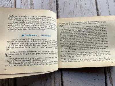 Libro 'Comidas y Bebidas de Chile' Alfonso Alcalde - miniatura 6