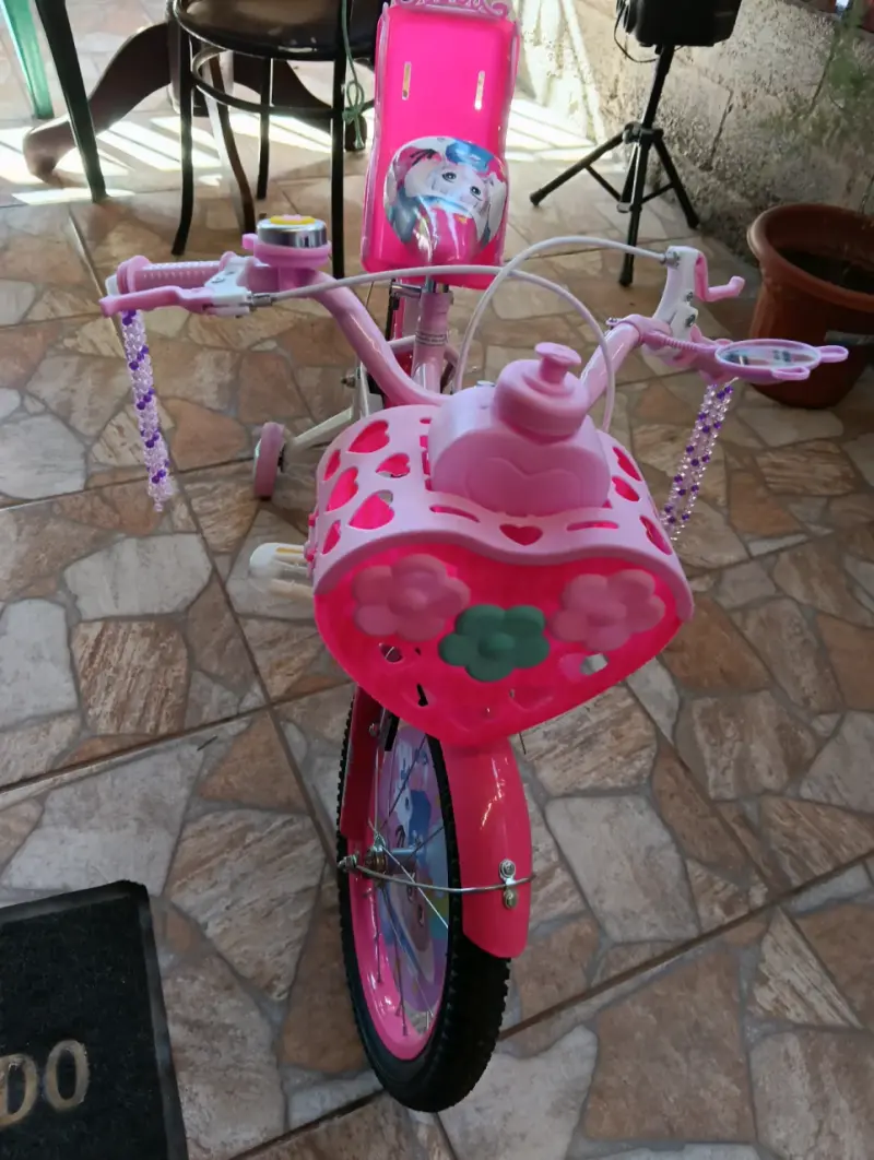 Bicicleta infantil nueva rosa con rueditas aro 16 - 2