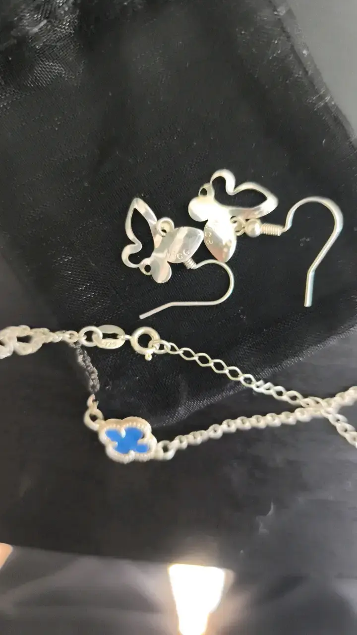 Cadena y Aros de plata - 2