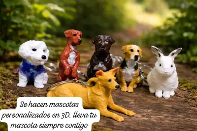 Llaveros personalizados de mascotas en 3D - miniatura 1