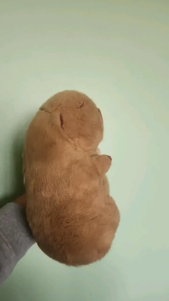 Peluche de capibara marron - 2