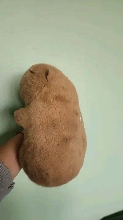 Peluche de capibara marron - miniatura 3