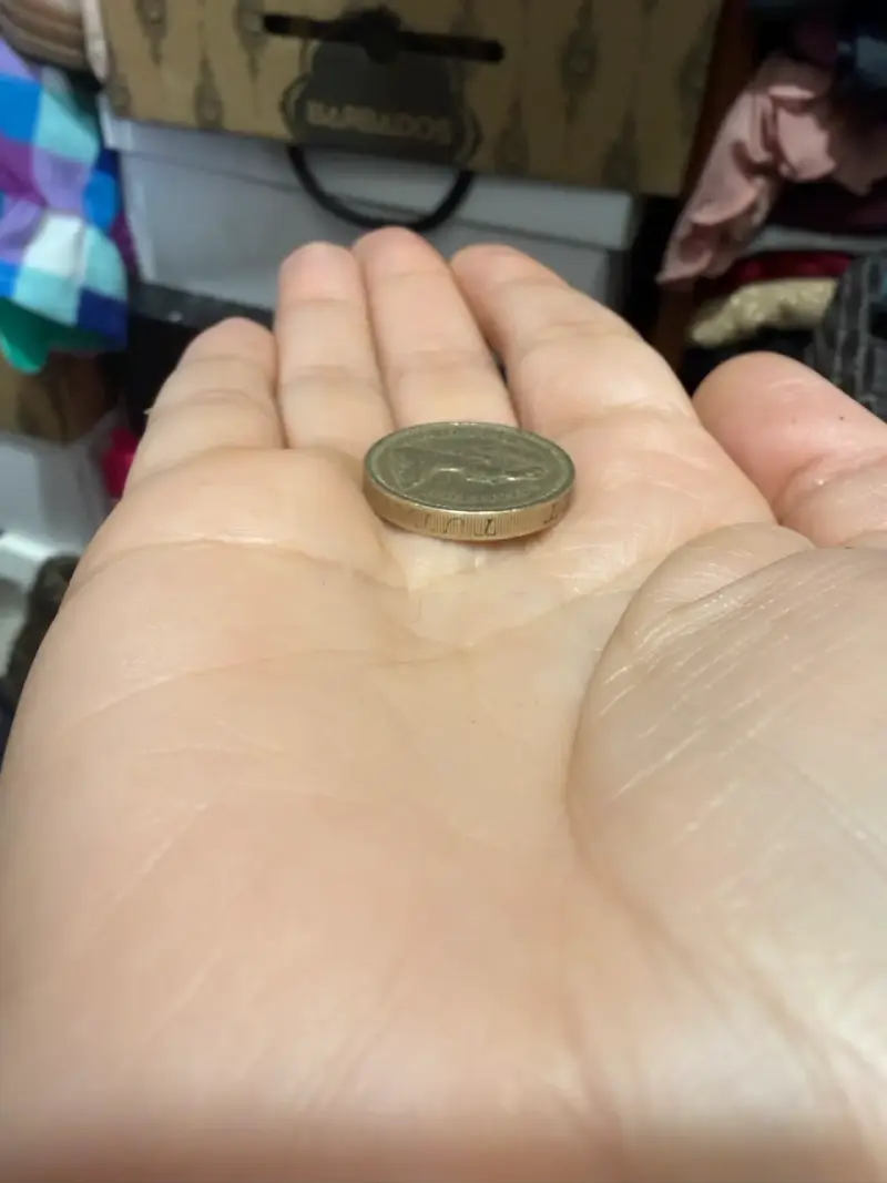 Moneda antigua 1983 - 2