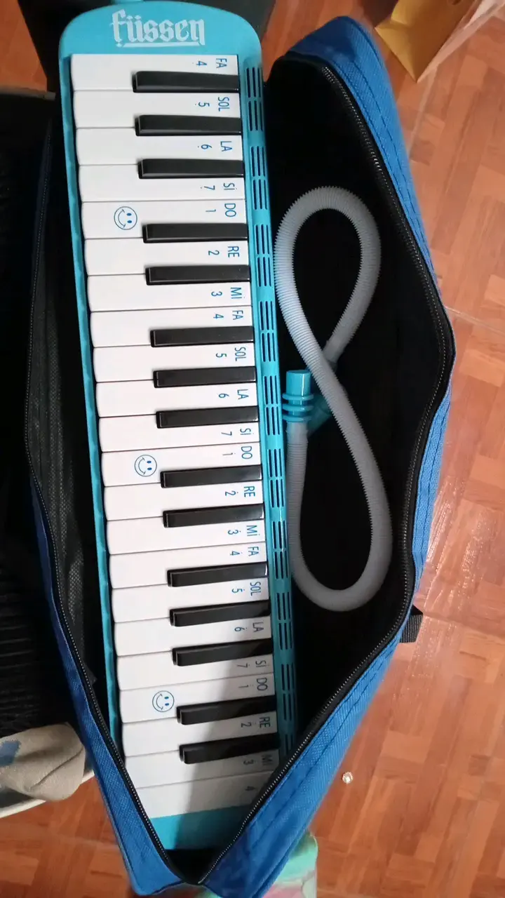Melódica Füsse azul con funda - 1