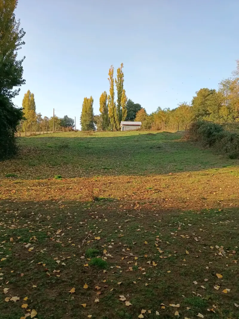 Terreno en venta en El Carmen, Ñuble - 3