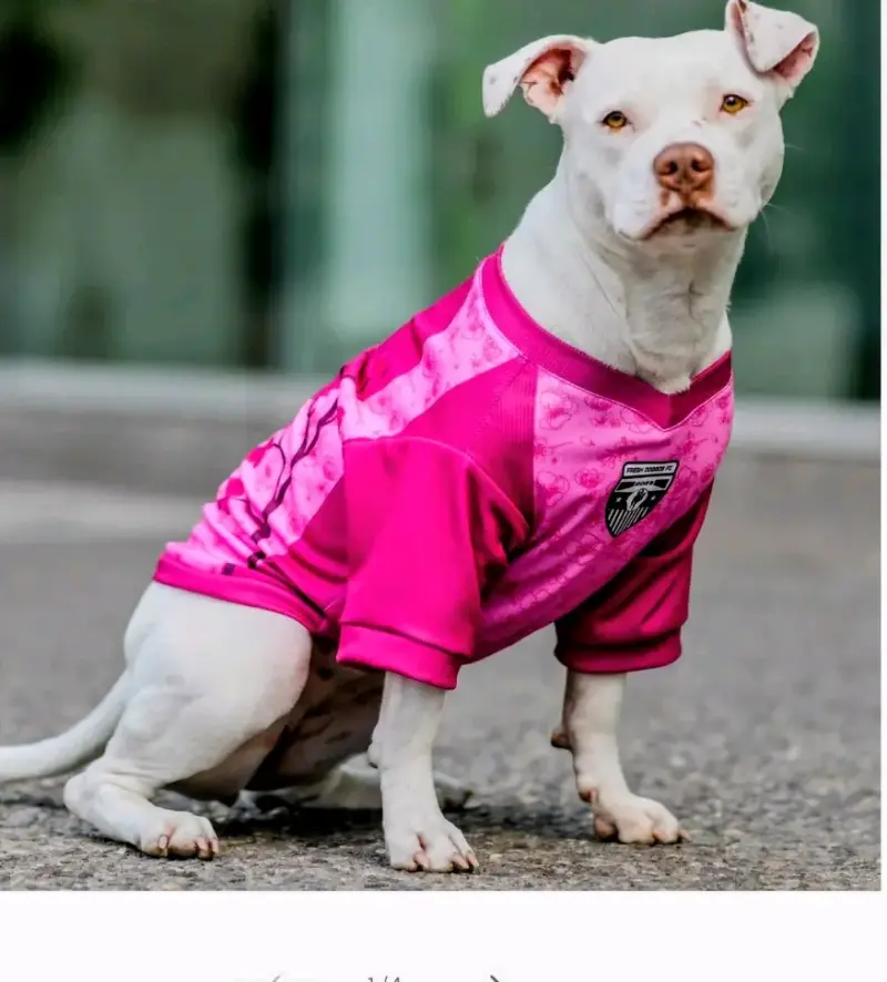 Polera para perros con protección solar UV 50+ - 2