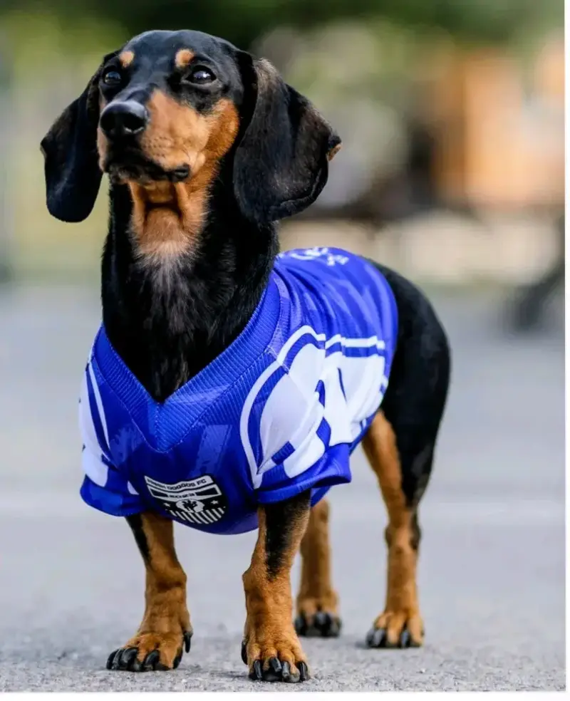 Polera para perros con protección solar UV 50+ - 3