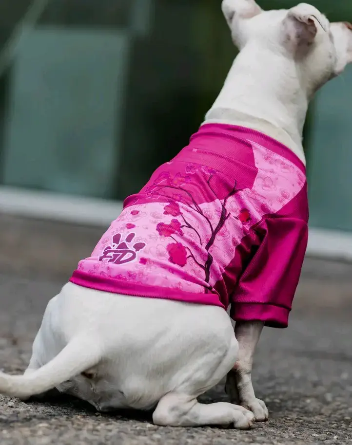 Polera para perros con protección solar UV 50+ - 5