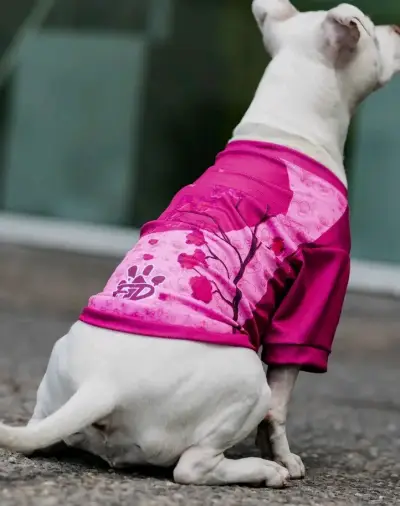Polera para perros con protección solar UV 50+ - miniatura 5