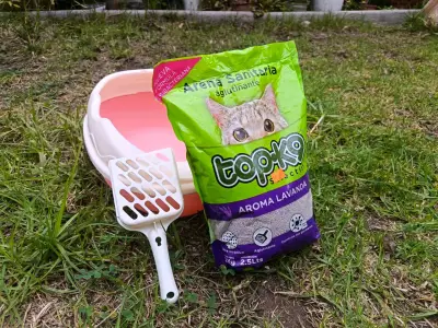 Arenero y arenena sanitaria aglutinante para gato🐱 - miniatura 1