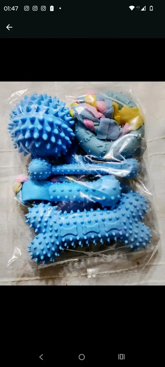 Set de juguetes para perros de goma - 1