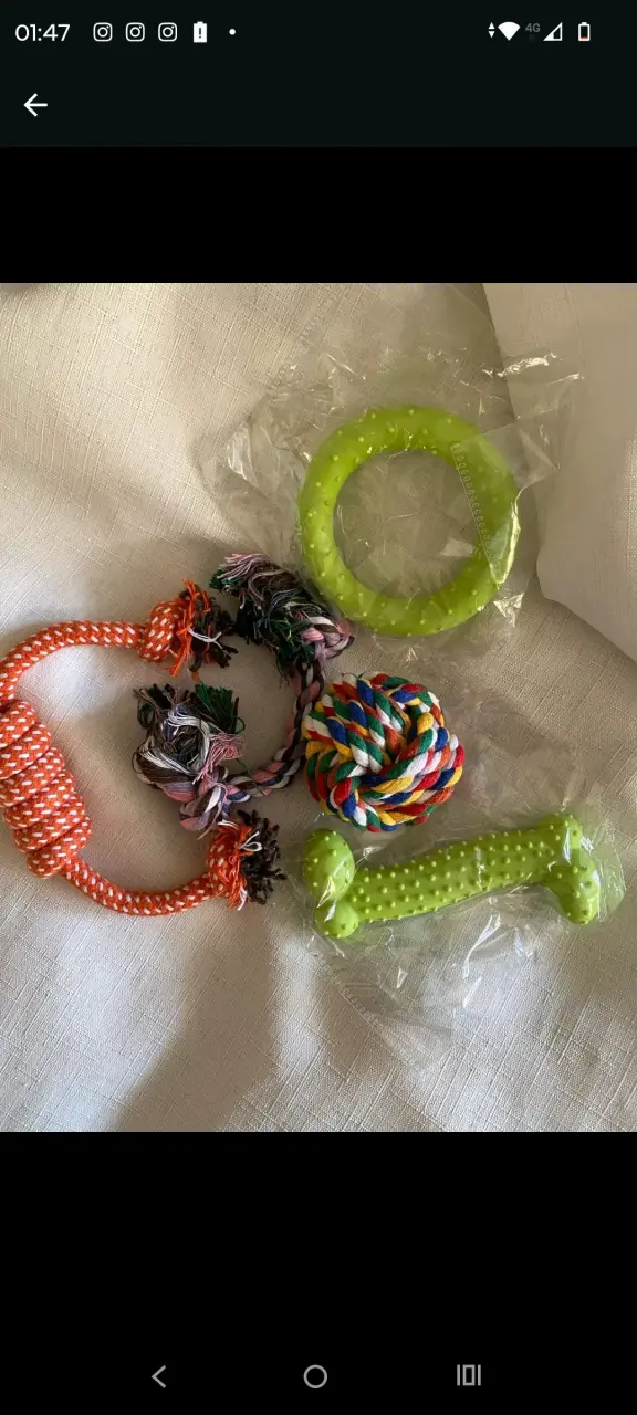 Set de juguetes para perros de goma - 2