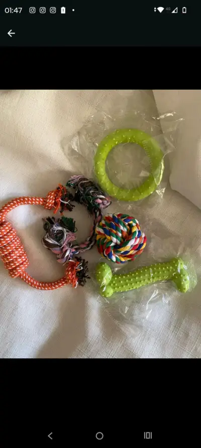 Set de juguetes para perros de goma - miniatura 2
