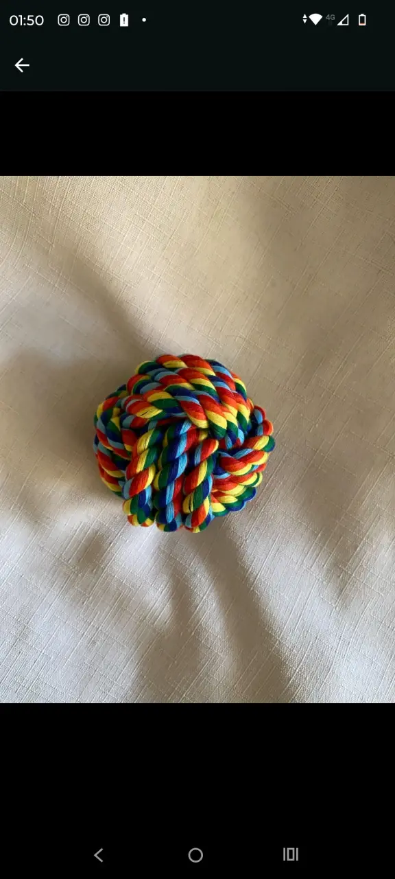 Set de juguetes para perros de goma - 3