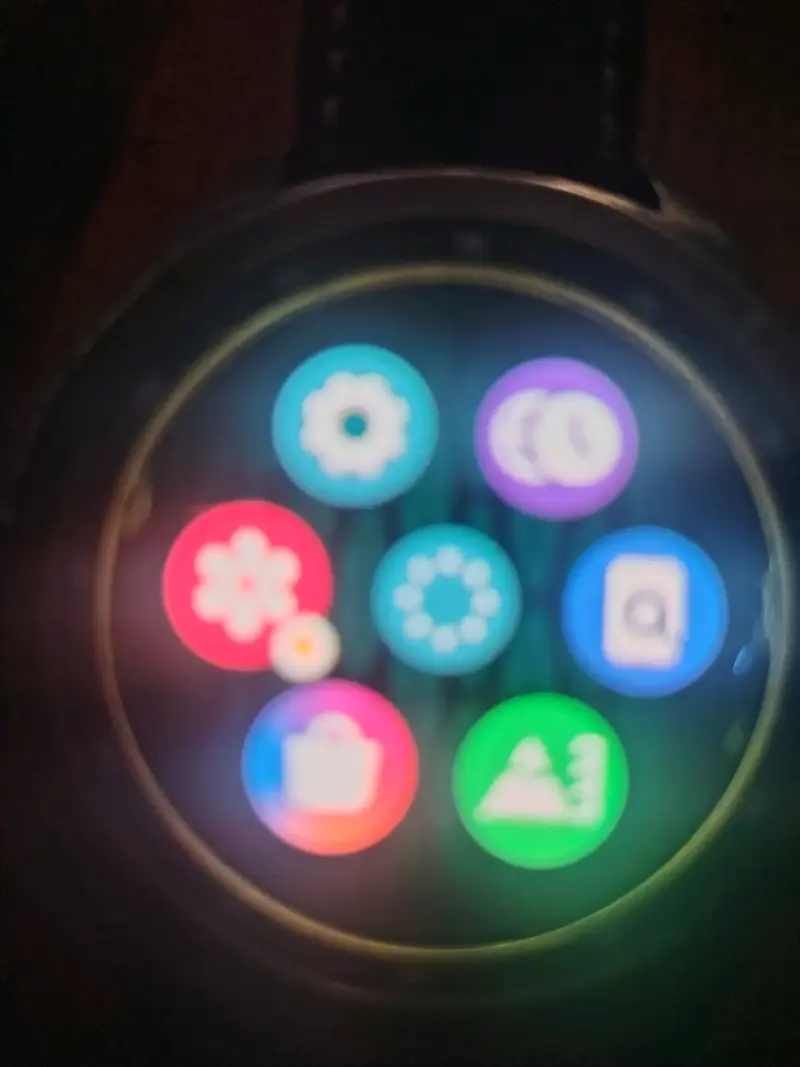 Smartwatch Samsung Gear S3 Frontier - 4