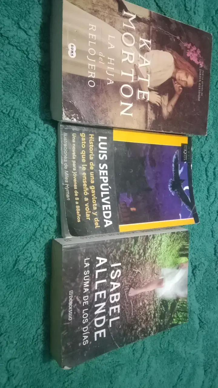 Lote de libros de autores reconocidos - 1