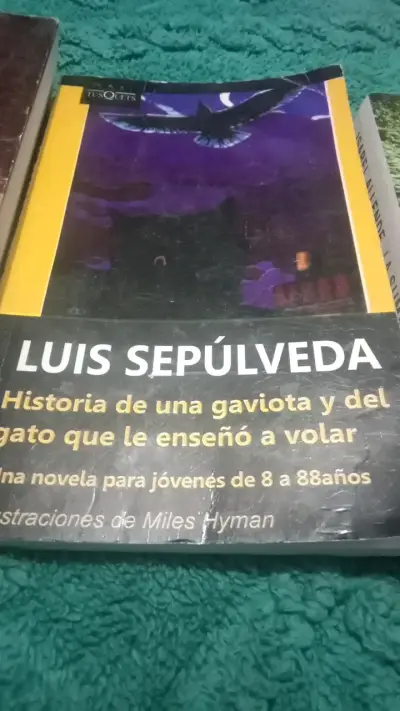 Lote de libros de autores reconocidos - miniatura 4