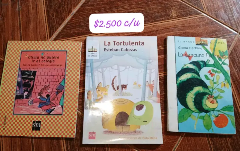 Libros infantiles SM en buen estado - 1