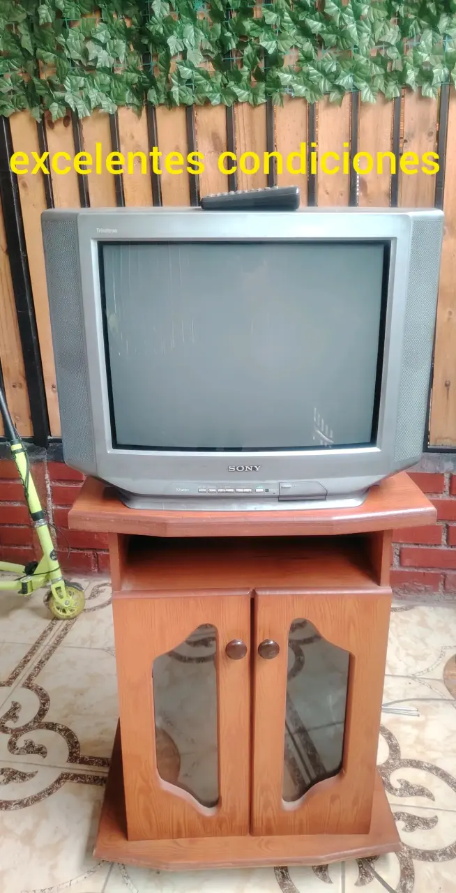Televisor Sony Trinitron con mueble de madera