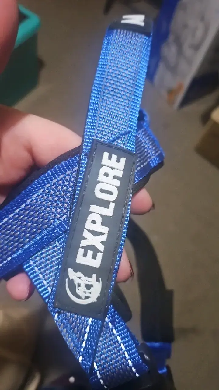 Arnés para perro M-Pets azul resistente - 2
