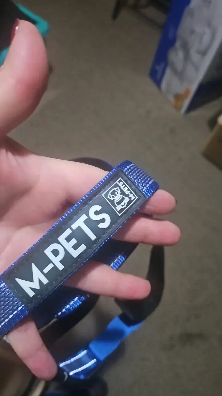 Arnés para perro M-Pets azul resistente - 3