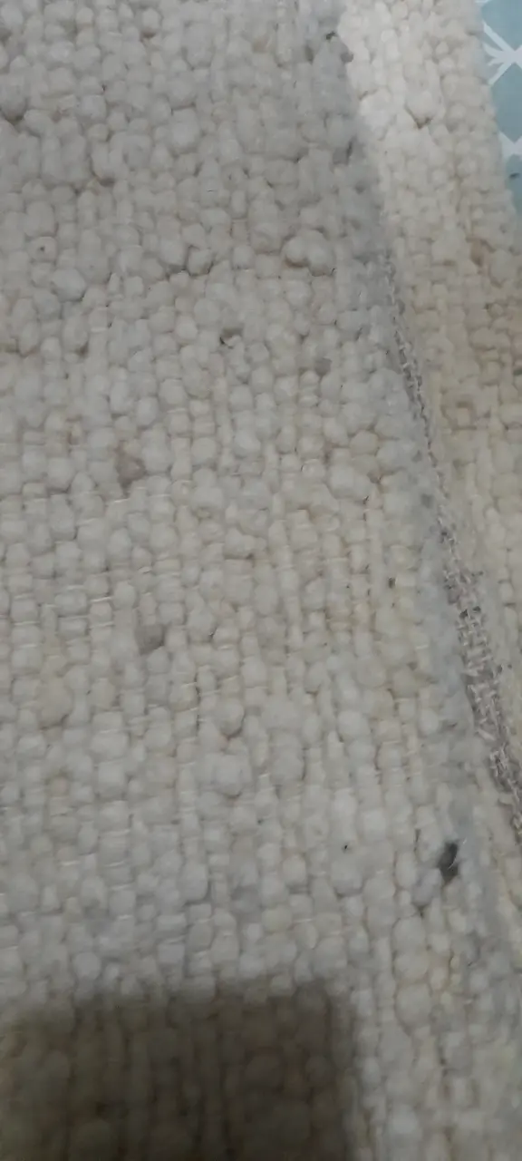 Frazadas crema de 100% lana tejida - 6