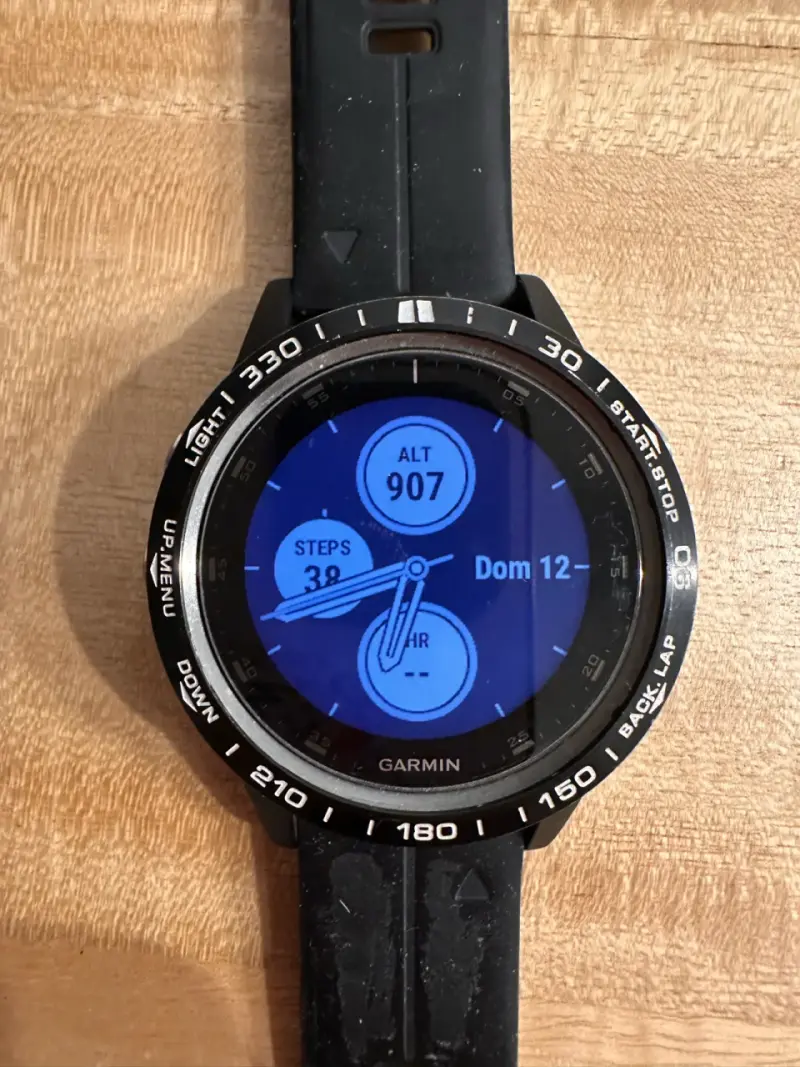 Reloj inteligente Garmin Fenix 5 Plus negro - 2