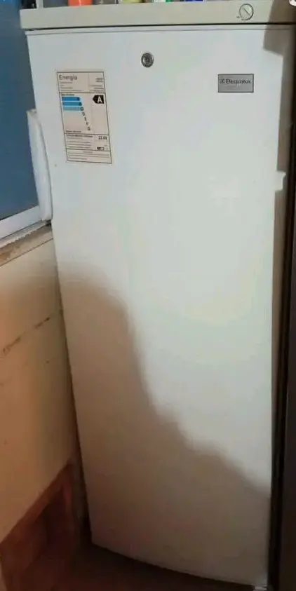 Congelador r Electrolux vertical blanco eficiente - 1