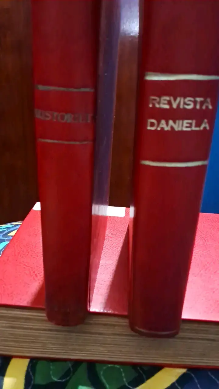 Colección de revistas encuadernadas - 1