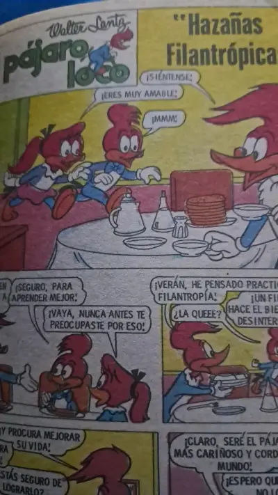 Colección de revistas encuadernadas - miniatura 4