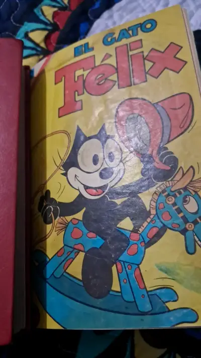 Colección de revistas encuadernadas - miniatura 5