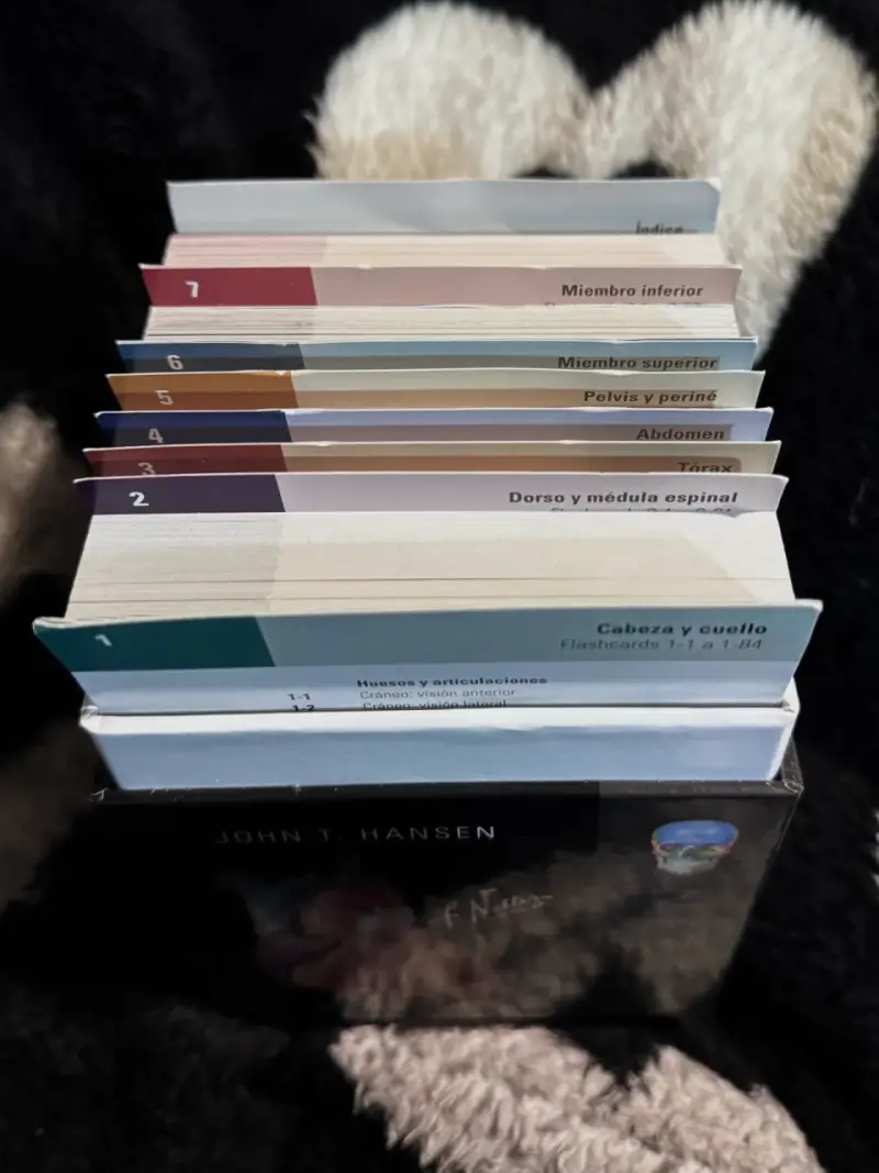 Flashcards de Anatomía Netter - 2