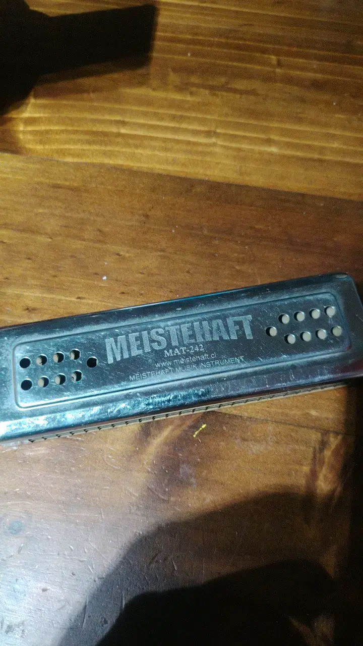 Armónica Meisterhaft MAT-242 cromada - 1