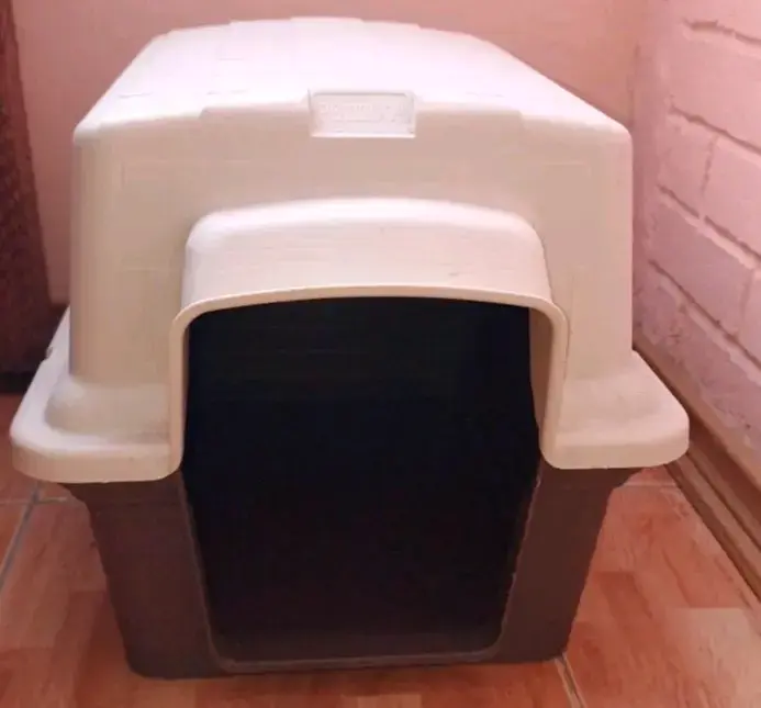 Casa Perro - 1