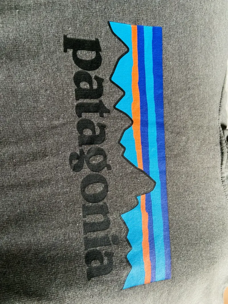 Polerón con capucha Patagonia gris oscuro - 5