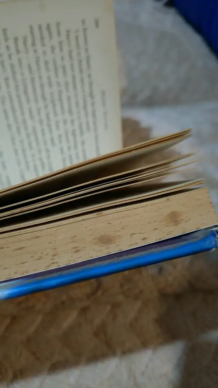 Libro Harry Potter and the Deathly Hallows - 5