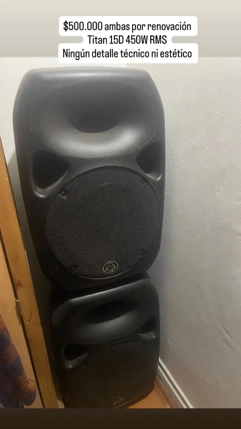 Parlantes Titan 15D 450W RMS en buen estado - 1