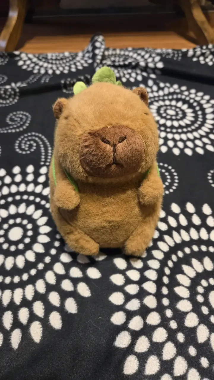 Peluche de capibara suave y tierno - 1