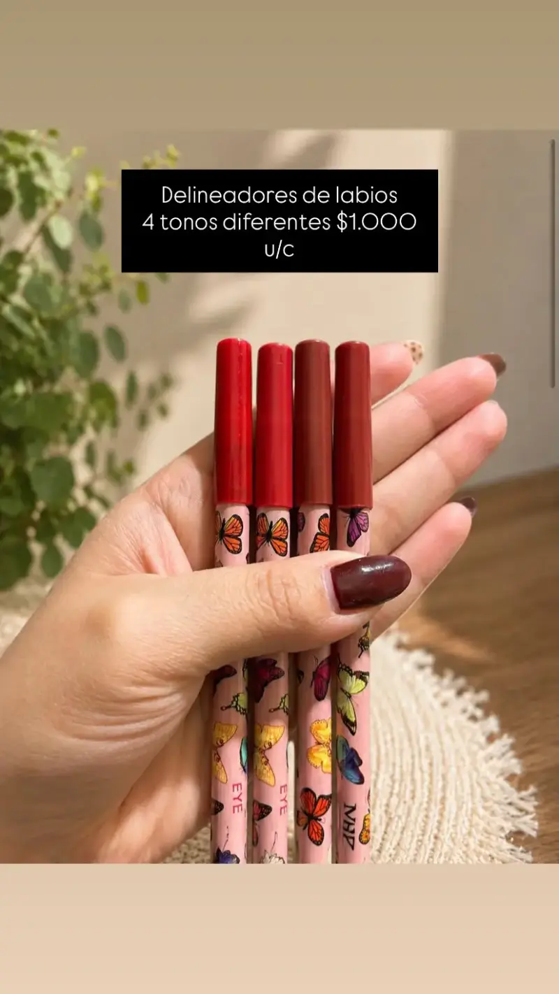 Set de delineadores de labios en 4 tonos