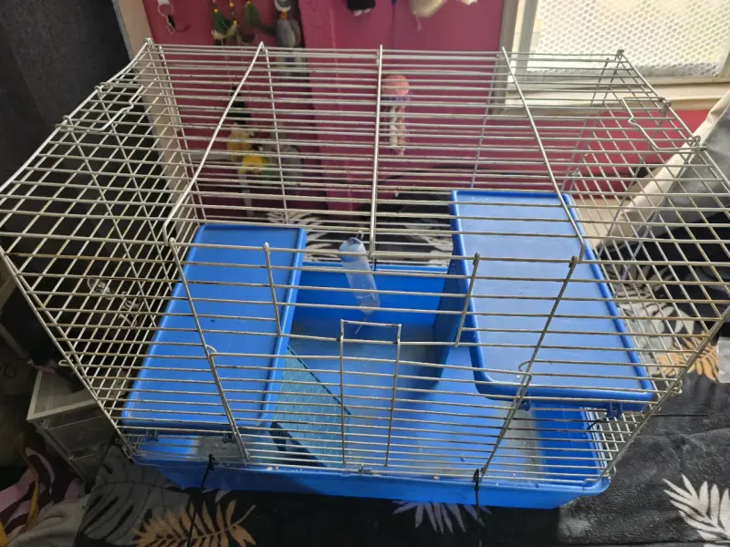 Jaula para mascotas pequeña de dos niveles - 2