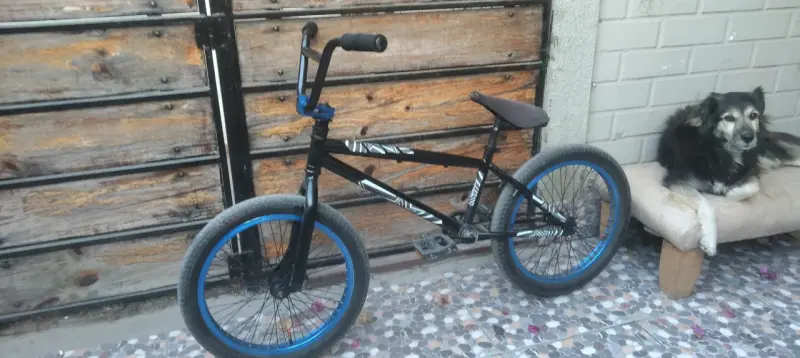 Bicicleta BMX negra con detalles azules - 2