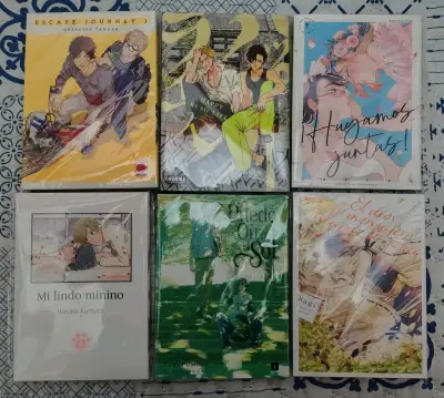 Mangas BL y GL originales en buen estado - miniatura 1