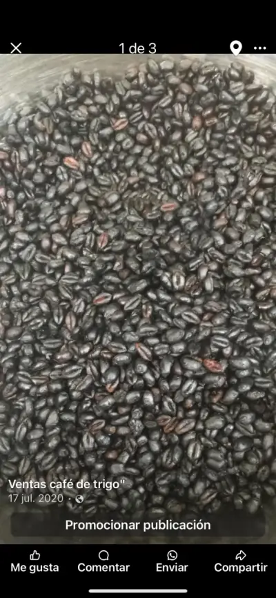 café de trigo natural - miniatura 4