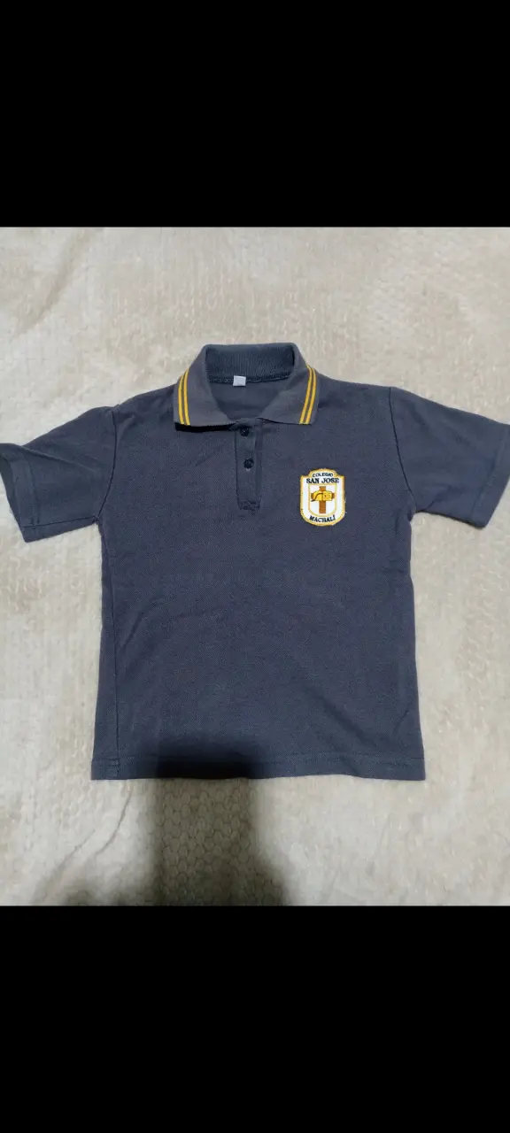 Polera escolar gris Colegio San José - 2