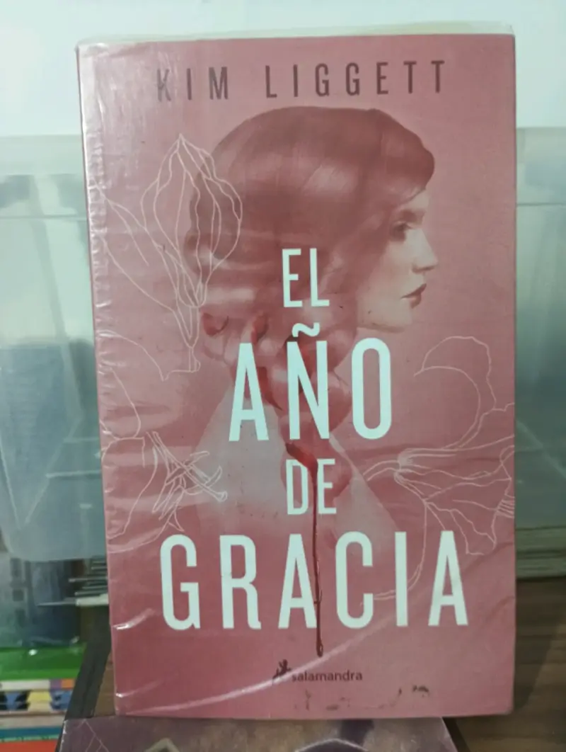 Libro 'Los Soles de Santiago' de Viviana Rivero - 3