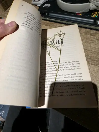 Libro 'All the Bright Places' de Jennifer Niven - miniatura 3