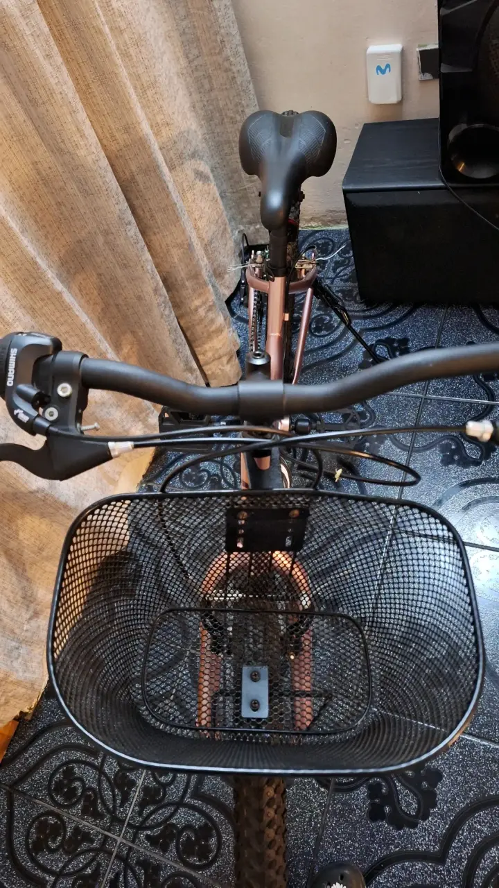 Bicicleta Oxford Luna (SIN USO,SOLO GUARDADA) - 2