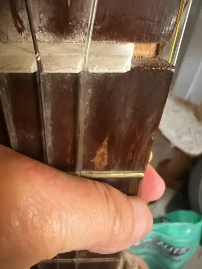Guitarra clásica Gálvez – Fabricada en Santiago - miniatura 5