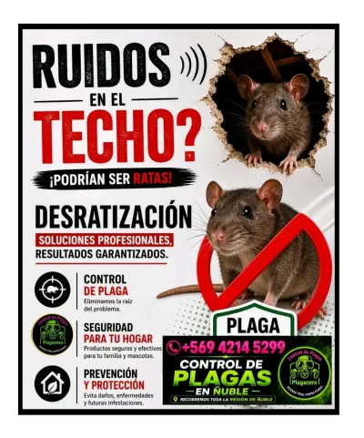 Servicio de control de plagas en Ñuble - miniatura 2